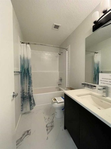 2304-42 Cranbrook Gardens Se, Calgary, AB - Indoor Photo Showing Bathroom