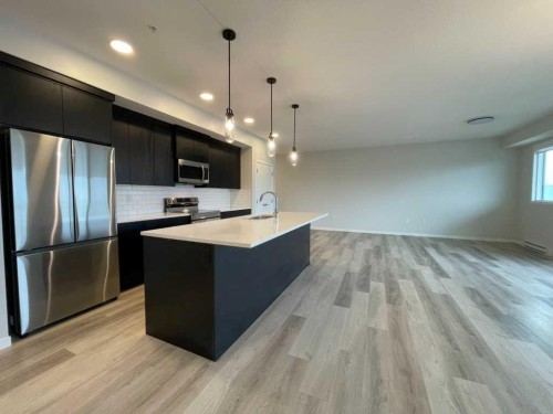 2304-42 Cranbrook Gardens Se, Calgary, AB - Indoor Photo Showing Kitchen With Stainless Steel Kitchen With Upgraded Kitchen