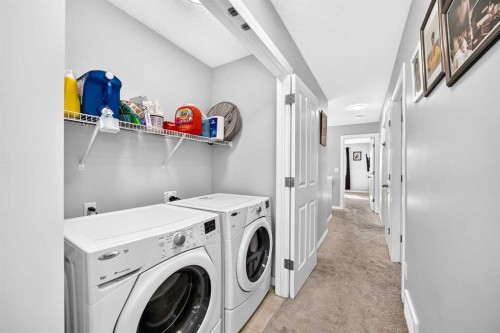 8 Skyview Point Terrace Ne, Calgary, AB - Indoor Photo Showing Laundry Room