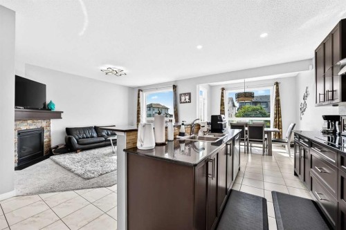 8 Skyview Point Terrace Ne, Calgary, AB - Indoor With Fireplace