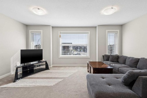 215 Redstone Heights Ne, Calgary, AB - Indoor Photo Showing Living Room
