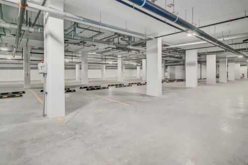 2109-8500 19 Avenue Se, Calgary, AB - Indoor Photo Showing Garage