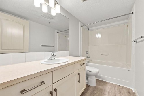 204-304 Cranberry Park Se, Calgary, AB - Indoor Photo Showing Bathroom