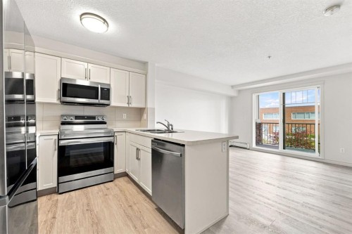 204-304 Cranberry Park Se, Calgary, AB - Indoor Photo Showing Kitchen With Double Sink