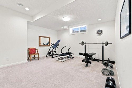 218 Boulder Creek Place, Langdon, AB - Indoor Photo Showing Gym Room