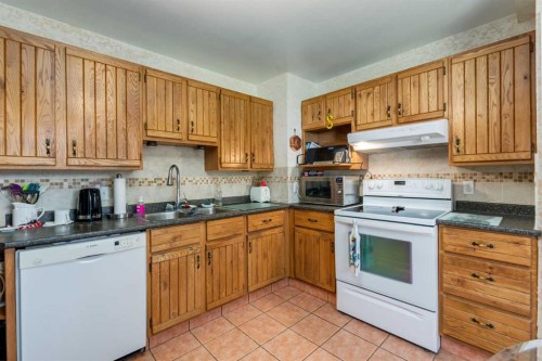 723 Trafford Drive Nw, Calgary, AB - Indoor Photo Showing Kitchen With Double Sink