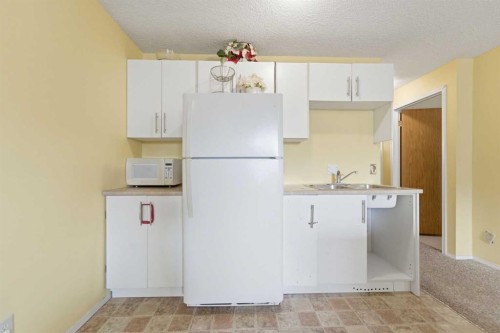 96 Falshire Close Ne, Calgary, AB - Indoor Photo Showing Kitchen With Double Sink