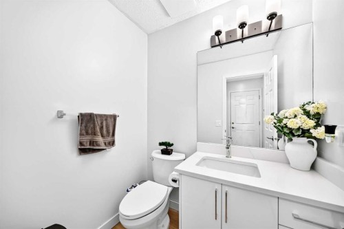 218 Saddlefield Place Ne, Calgary, AB - Indoor Photo Showing Bathroom