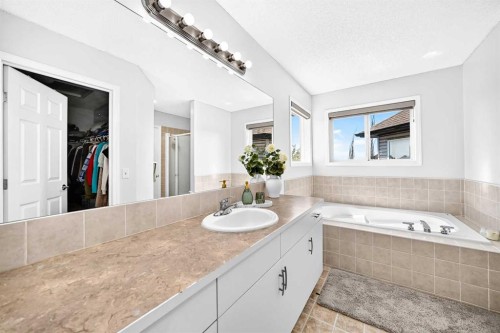 218 Saddlefield Place Ne, Calgary, AB - Indoor Photo Showing Bathroom