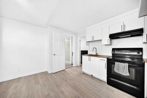218 Saddlefield Place Ne, Calgary, AB - Indoor Photo Showing Kitchen With Double Sink