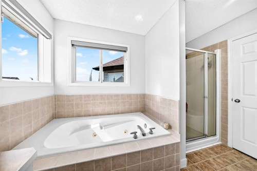 218 Saddlefield Place Ne, Calgary, AB - Indoor Photo Showing Bathroom