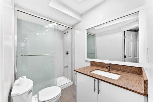 218 Saddlefield Place Ne, Calgary, AB - Indoor Photo Showing Bathroom