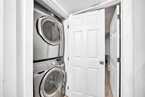 218 Saddlefield Place Ne, Calgary, AB - Indoor Photo Showing Laundry Room