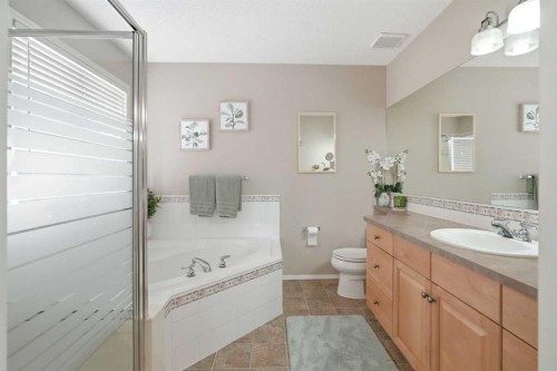 249 Inverness Park Se, Calgary, AB - Indoor Photo Showing Bathroom