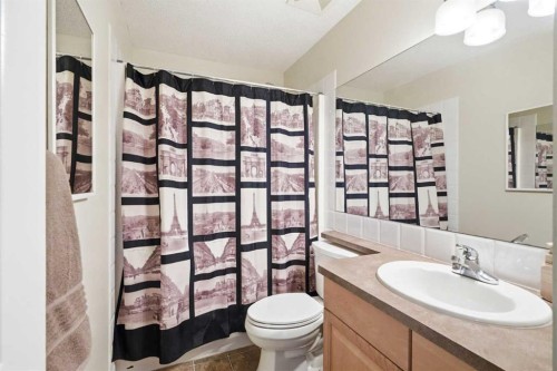 249 Inverness Park Se, Calgary, AB - Indoor Photo Showing Bathroom