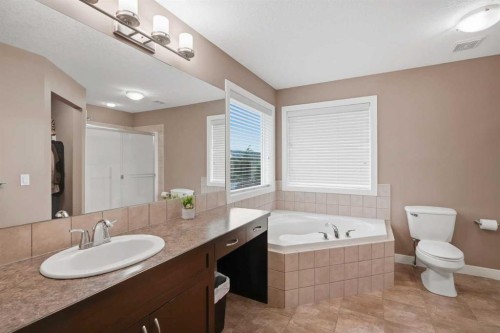 509 New Brighton Drive Se, Calgary, AB - Indoor Photo Showing Bathroom