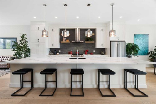 1141 Renfrew Drive Ne, Calgary, AB - Indoor Photo Showing Kitchen With Upgraded Kitchen