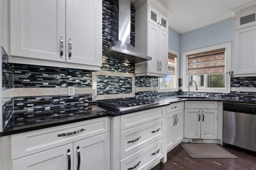 21 Saddlelake Lane Ne, Calgary, AB - Indoor Photo Showing Kitchen With Upgraded Kitchen