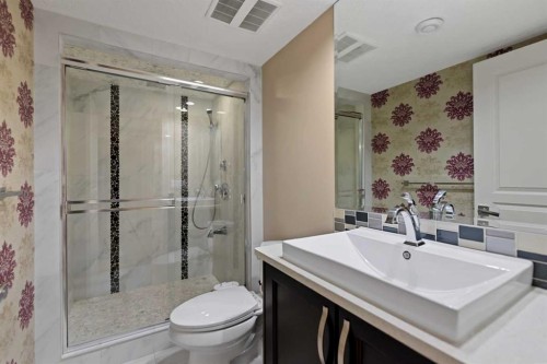 21 Saddlelake Lane Ne, Calgary, AB - Indoor Photo Showing Bathroom