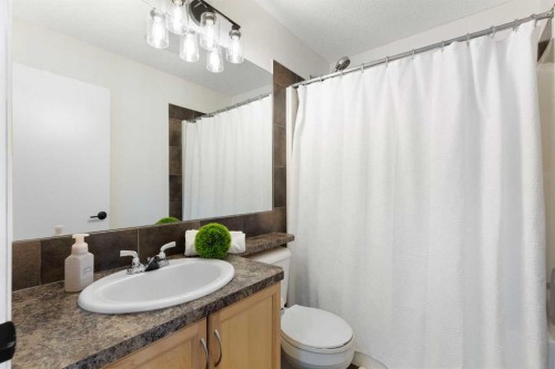 17 Auburn Bay View Se, Calgary, AB - Indoor Photo Showing Bathroom