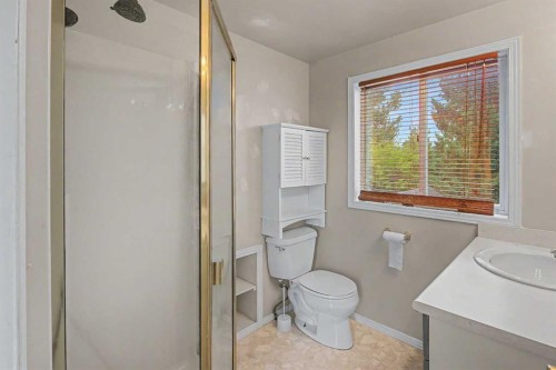 2214 24A Street Sw, Calgary, AB - Indoor Photo Showing Bathroom
