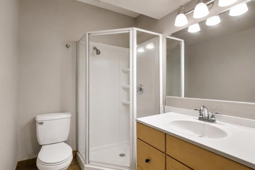 212 Pinetree Place Ne, Calgary, AB - Indoor Photo Showing Bathroom