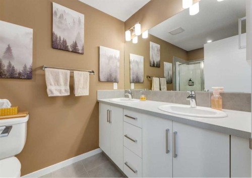 71 Seton Gardens Se, Calgary, AB - Indoor Photo Showing Bathroom