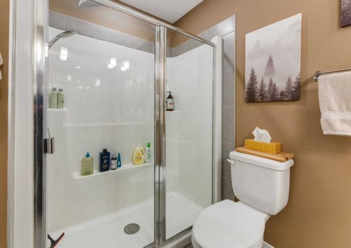 71 Seton Gardens Se, Calgary, AB - Indoor Photo Showing Bathroom