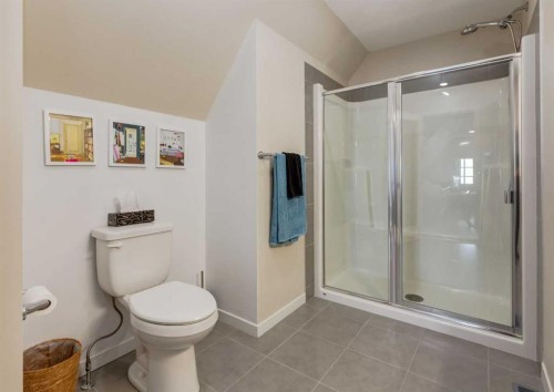 71 Seton Gardens Se, Calgary, AB - Indoor Photo Showing Bathroom
