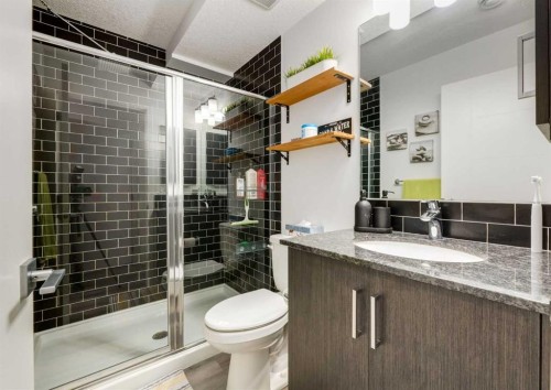 71 Seton Gardens Se, Calgary, AB - Indoor Photo Showing Bathroom