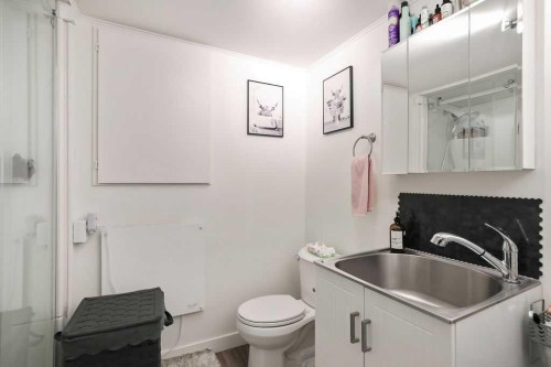 141 Somerset Circle Sw, Calgary, AB - Indoor Photo Showing Bathroom