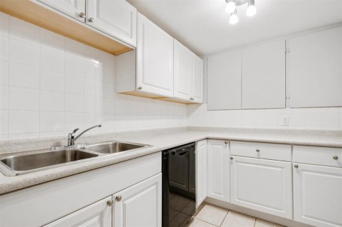254 Hendon Drive Nw, Calgary, AB - Indoor Photo Showing Kitchen With Double Sink