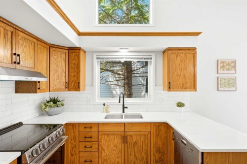 50 Douglasview Park Se, Calgary, AB - Indoor Photo Showing Kitchen With Double Sink