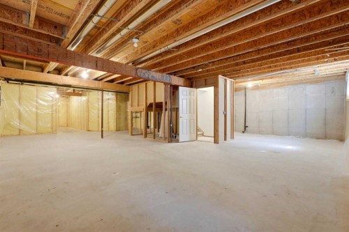 50 Douglasview Park Se, Calgary, AB - Indoor Photo Showing Basement
