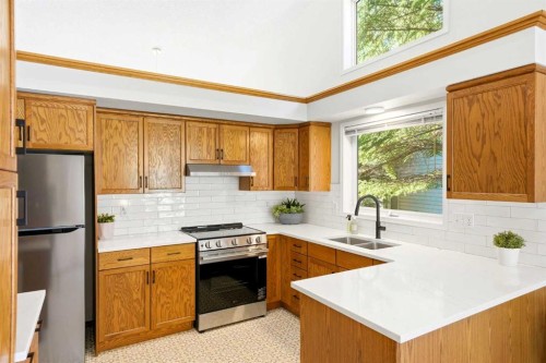 50 Douglasview Park Se, Calgary, AB - Indoor Photo Showing Kitchen With Double Sink