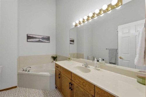 50 Douglasview Park Se, Calgary, AB - Indoor Photo Showing Bathroom