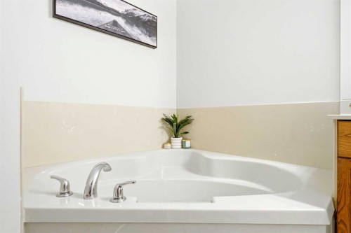 50 Douglasview Park Se, Calgary, AB - Indoor Photo Showing Bathroom