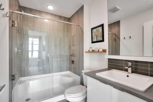 984 Walden Drive Se, Calgary, AB - Indoor Photo Showing Bathroom