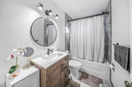 703 Millar Road Ne, Calgary, AB - Indoor Photo Showing Bathroom