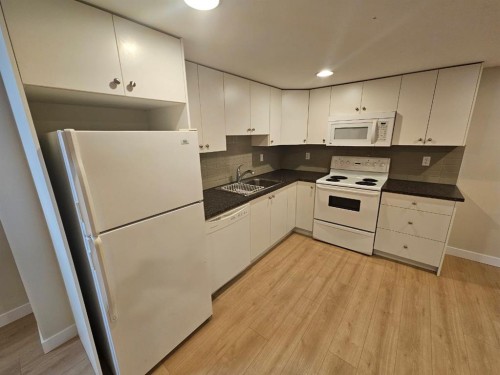 703 Millar Road Ne, Calgary, AB - Indoor Photo Showing Kitchen With Double Sink