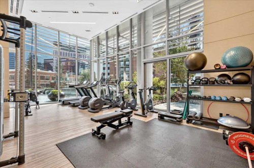 302-738 1 Avenue Sw, Calgary, AB - Indoor Photo Showing Gym Room