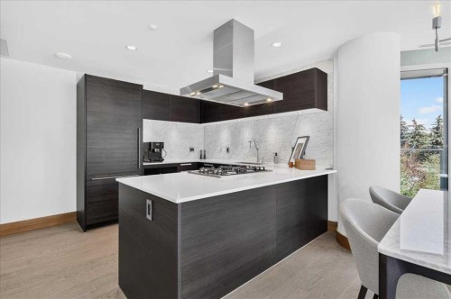 302-738 1 Avenue Sw, Calgary, AB - Indoor Photo Showing Kitchen With Upgraded Kitchen