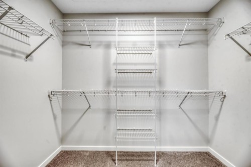 63 Setonvista Grove Se, Calgary, AB - Indoor With Storage