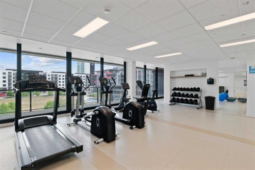 203-275 Lebel Crescent Nw, Calgary, AB - Indoor Photo Showing Gym Room