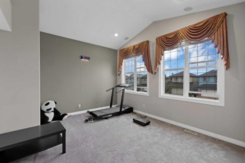 77 Saddleland Drive Ne, Calgary, AB - Indoor Photo Showing Gym Room
