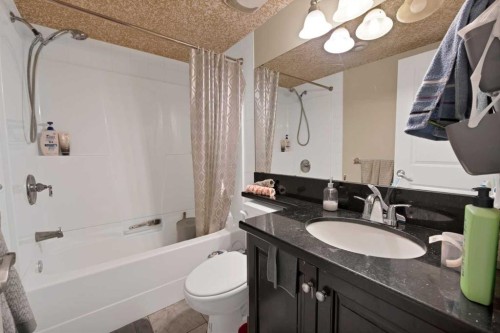 77 Saddleland Drive Ne, Calgary, AB - Indoor Photo Showing Bathroom