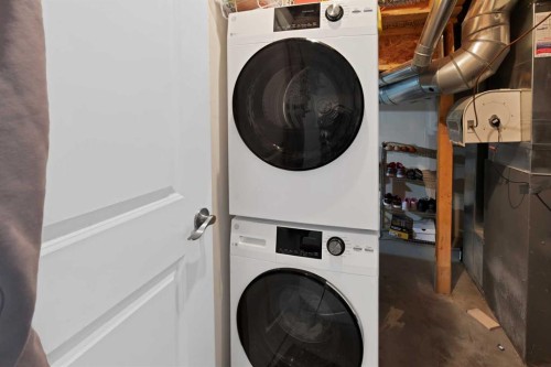 77 Saddleland Drive Ne, Calgary, AB - Indoor Photo Showing Laundry Room