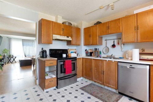 28 Martinview Road Ne, Calgary, AB - Indoor Photo Showing Kitchen With Double Sink