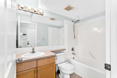 352 Copperfield Gardens Se, Calgary, AB - Indoor Photo Showing Bathroom