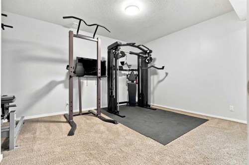 163 Cranarch Circle Se, Calgary, AB - Indoor Photo Showing Gym Room